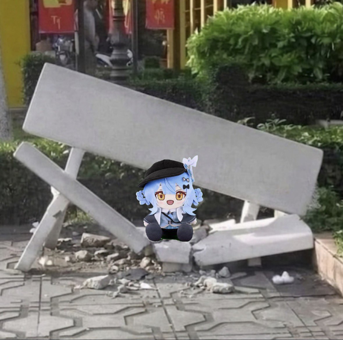 なすいぬ〜 tweet media