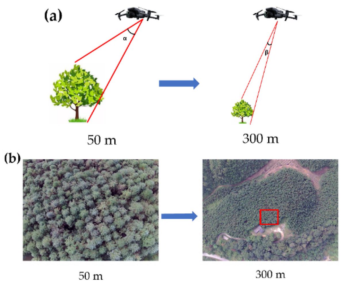 RemoteSens_MDPI's tweet photo. ๐ฟ๐ณ Evaluation of Scale Effects on #UAV-Based #Hyperspectral Imaging for Remote Sensing of #Vegetation
โ๏ธ Tie Wang et al.
๐ https://t.co/71ayGPhVpM https://t.co/h14JhES0AC