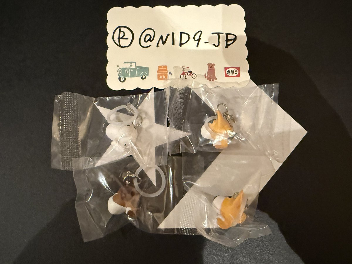 N1D9_JB's tweet photo. THE DOG ザドッグ AND FRIENDS 交換 めじるし 目印アクセサリー ガチャ ガチャガチャ

【譲】コーギー×2、ダルメシアン、ビーグル
【求】ダックスフンド

横浜or秋葉原(改札内)手渡し、郵送

お気軽にご連絡ください🙇🏻‍♀️🫧 https://t.co/ZKx2dLEMGf