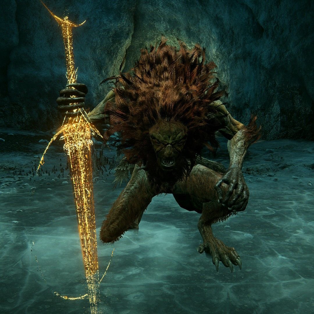 1lizu's tweet photo. @ELDENRING WE NEED A DLC ABOUT LEONINE MISBEGOTTEN https://t.co/UeXg6xt0eM