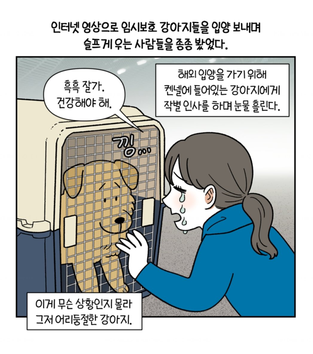 monday_milo's tweet photo. <극한견주>시즌2 
[무료회차] 122화 임시보호기간,
[미리보기] 141화 새로운 장난감 편이 오픈되었습니다!  

🟨카카오페이지 https://t.co/Z24Zm5qgLz 
📷카카오웹툰 https://t.co/Mz1pQYPNYA https://t.co/1eCcwOYzx1