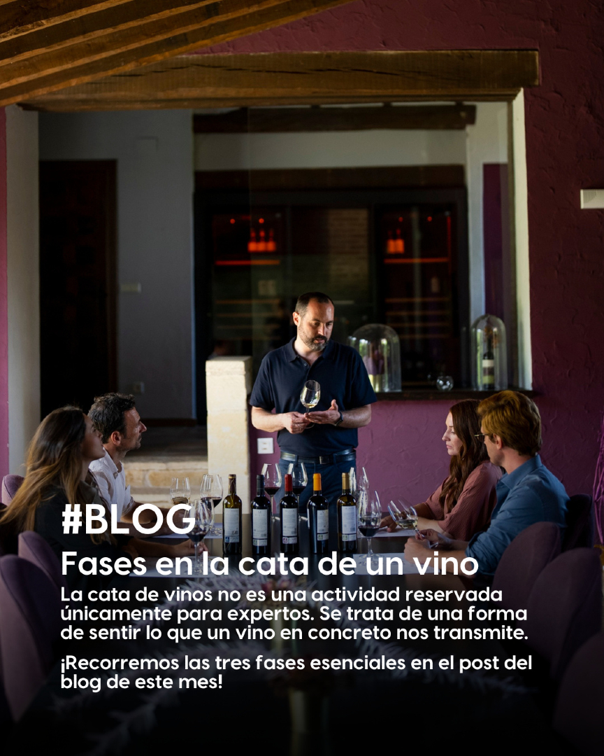 MasaveuBodegas's tweet photo. 🍷✨ ¿Qué nos cuenta realmente una copa de vino?

Detrás de cada vino hay una historia que se descubre paso a paso. En el blog de este mes recorremos las tres fases esenciales de la cata: la visual, la olfativa y la gustativa. 🍇

🔗 https://t.co/1D2Z6Z1aZg

#MasaveuBodegas https://t.co/CCKze1jg9y