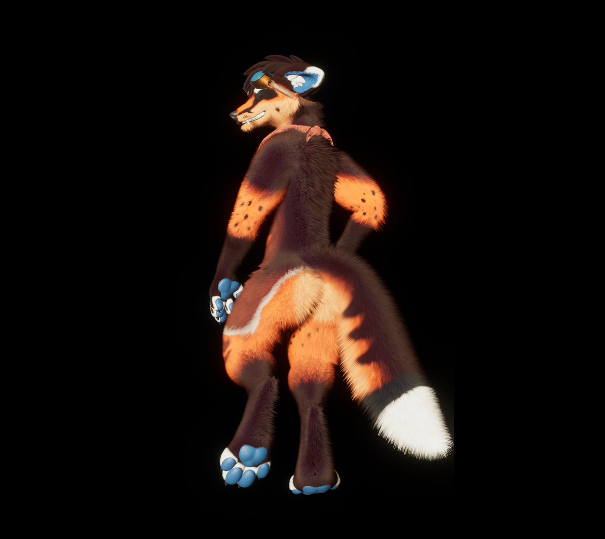 Archie 🦊 tweet media