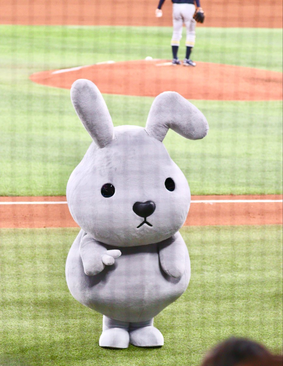 brulee876's tweet photo. いつもと違うレンズ持ってエスコン行ったらピントうまく合わせられなかったー😭でも楽しかったからオールオッケー❣オリベンチ真正面に立たされてデフォルトの浮かない表情で讃歌踊ってたラッピー可愛すぎたwwwww https://t.co/BOWhwqc18z