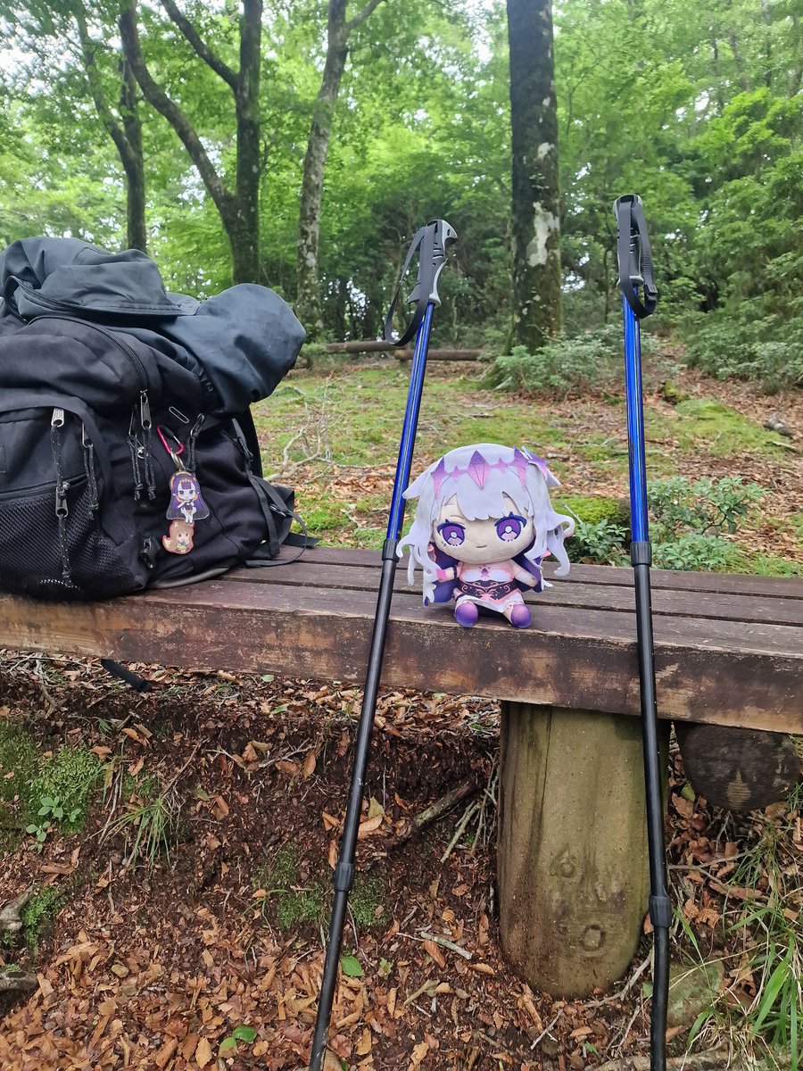 ThePhantomCat's tweet photo. Biboo's little Japan adventure season 3 day 16

Mount Amagi https://t.co/XZjWDysoz6