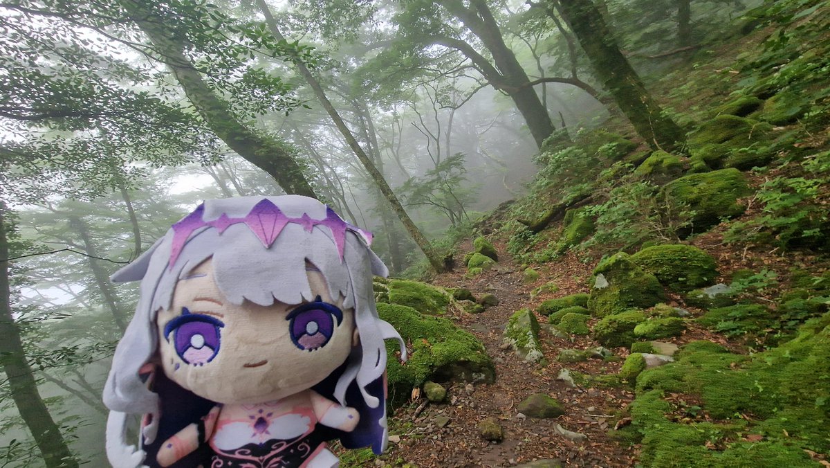 ThePhantomCat's tweet photo. Biboo's little Japan adventure season 3 day 16

Mount Amagi https://t.co/XZjWDysoz6