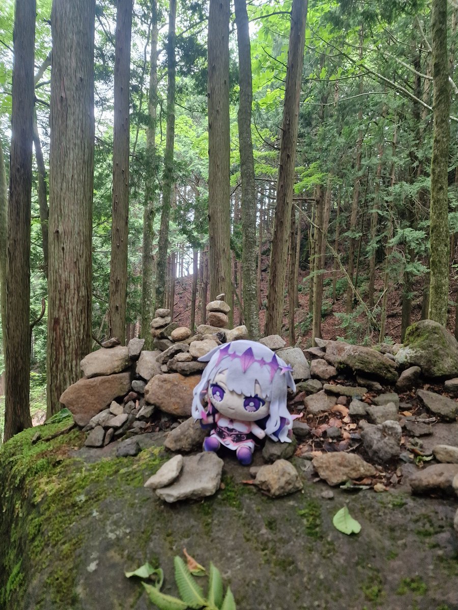 ThePhantomCat's tweet photo. Biboo's little Japan adventure season 3 day 16

Mount Amagi https://t.co/XZjWDysoz6