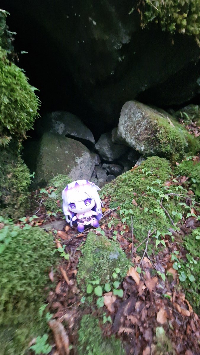 ThePhantomCat's tweet photo. Biboo's little Japan adventure season 3 day 16

Mount Amagi https://t.co/XZjWDysoz6