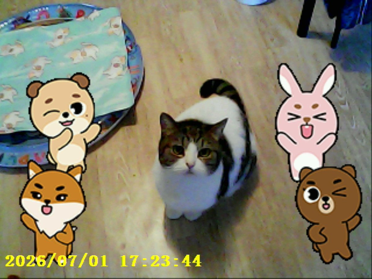 howtoyoungk tweet picture