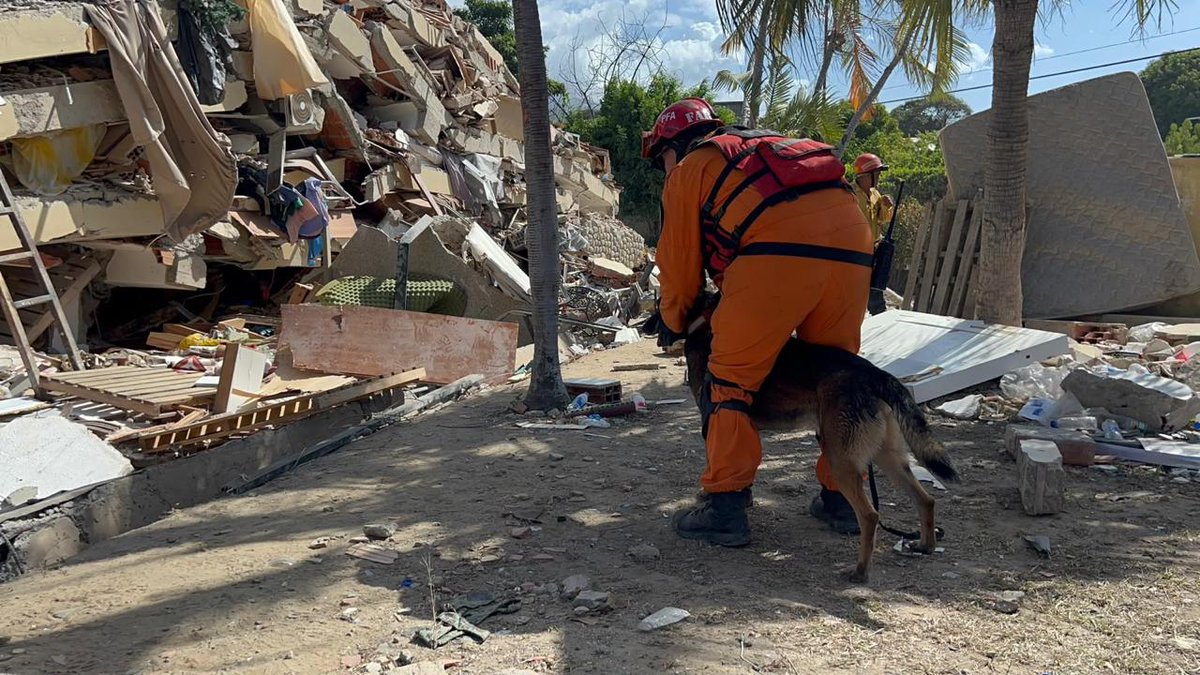 PFAOficial's tweet photo. Donde otros ven escombros, nuestra Brigada USAR ve una misión.

En Venezuela, nuestros brigadistas continúan desplegando tareas de búsqueda y rescate junto a equipos internacionales, trabajando con precisión y el compromiso de no dejar ninguna posibilidad sin explorar. https://t.co/co4lCqve3I