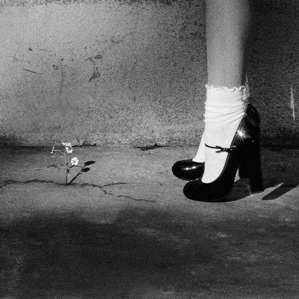 TeamAriana's tweet photo. petal 7.31 
ꕤ ｡˚ preorder now
https://t.co/Jwu2uwAP5n https://t.co/WrwCWAzv2a