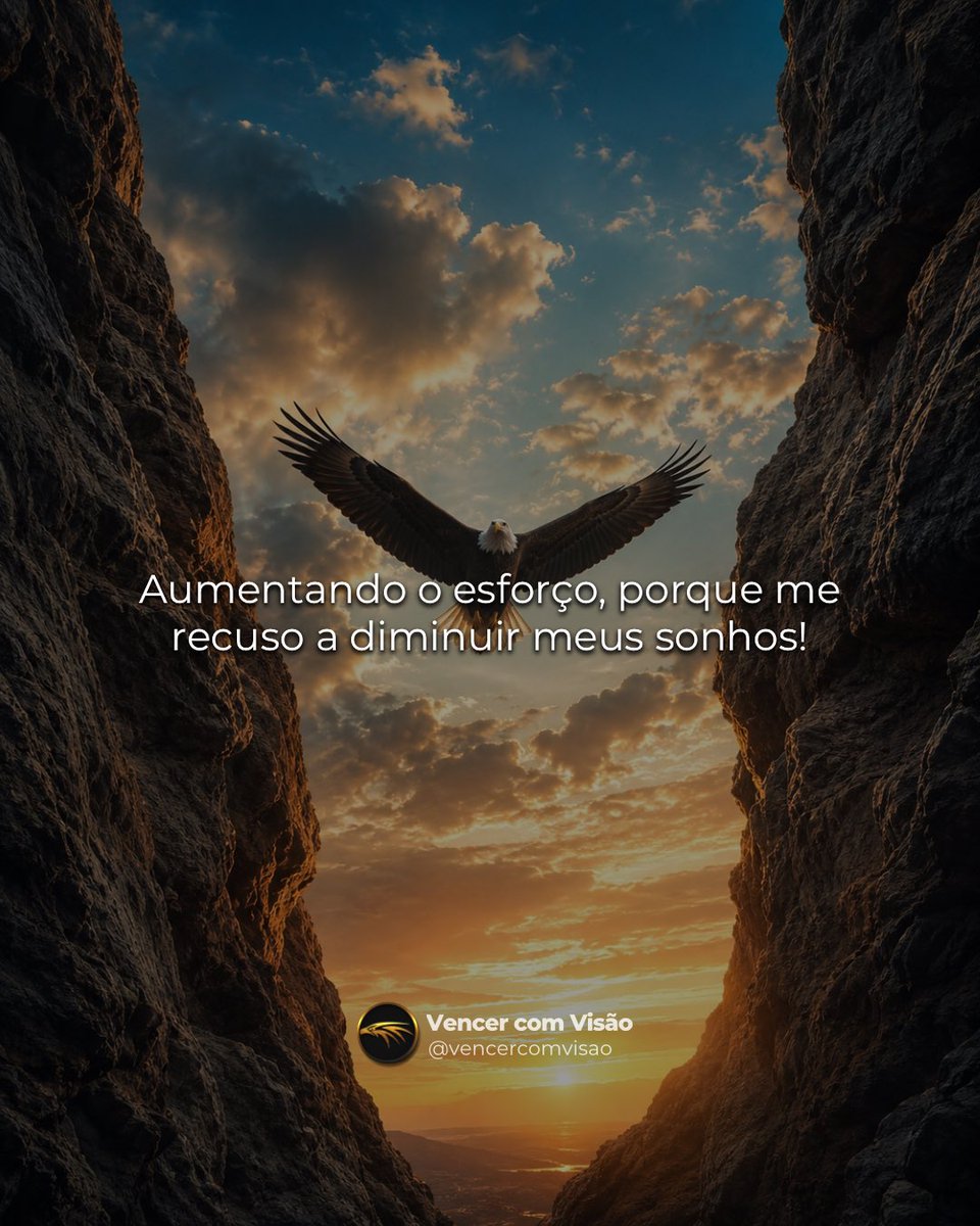 vencercomvisao's tweet photo. Nem todo mundo vai entender o tamanho do esforço.

Alguns vão olhar de fora e achar exagero.
Outros vão dizer que é demais.
Mas quem carrega um propósito grande sabe: diminuir o sonho nunca foi opção.

Quando a meta é alta, a entrega também precisa ser. https://t.co/zznD1gcmEt