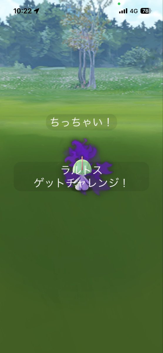 pokemongambaru's tweet photo. 今日可愛い子に会いました。xxsサイズのラルトス。めっちゃ可愛かった。
#ポケGO
#ラルトス
#xxsサイズ https://t.co/e0opozgIrZ