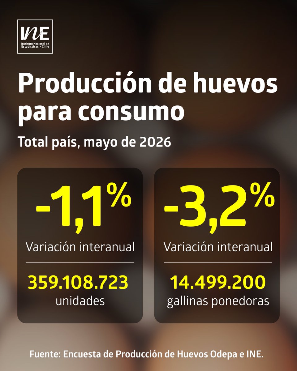INE_Chile's tweet photo. La producción de huevos de consumo presentó una disminución interanual de 1,1% en mayo de 2026. El número de gallinas en postura, en tanto, bajó 3,2% respecto a igual mes del año anterior: https://t.co/eHrc4O6cbb https://t.co/vZmLPe6JFI