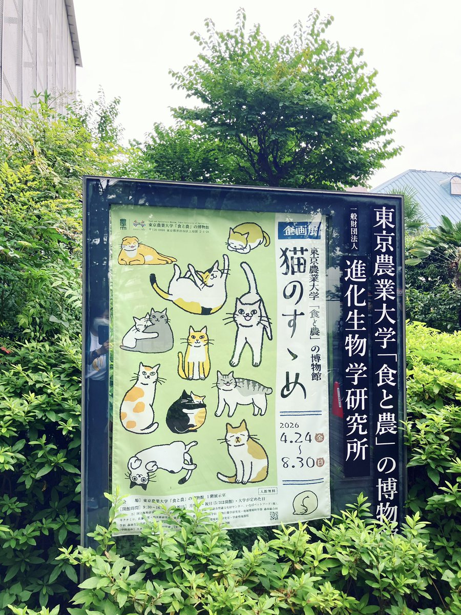 brunnen_'s tweet photo. 東京農業大学「食と農」博物館企画展「猫のすゝめ」とてもよかったです！8/30までやっていますよー。（月）休。
小田急線千歳船橋からバスで行きました。本数も多かったです。 https://t.co/aCDslEBFfp