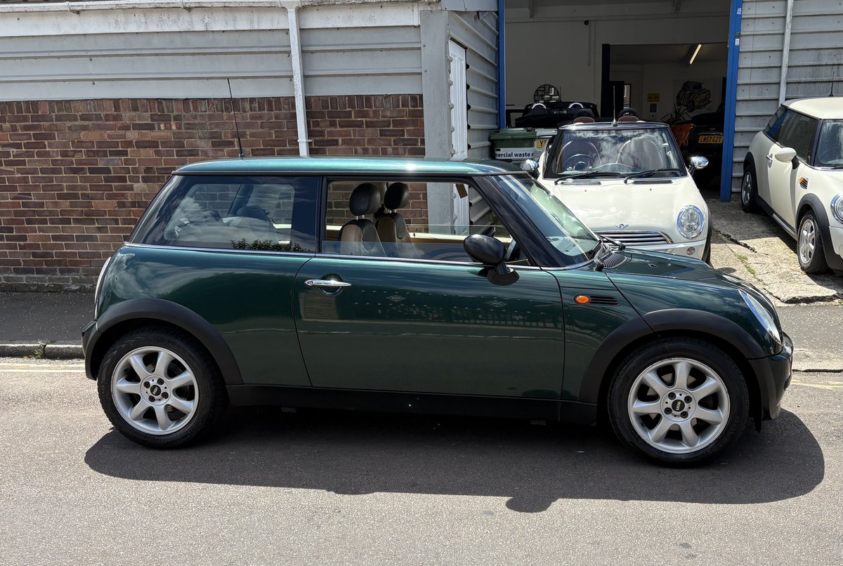 mini