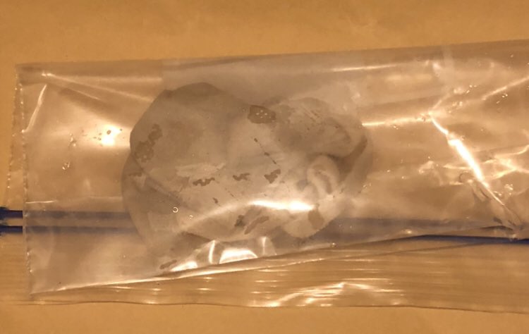 kii_no_'s tweet photo. ちなみにもぐもぐマスクはこんな感じのを発送してますŧ‹”ŧ‹”( ‘ч’ )ŧ‹”ŧ‹”

#靴下売ります #靴下売り子 #靴下販売 #靴下フェチ #靴下  #下着販売  #もぐもぐマスク https://t.co/q7OlETLTTg