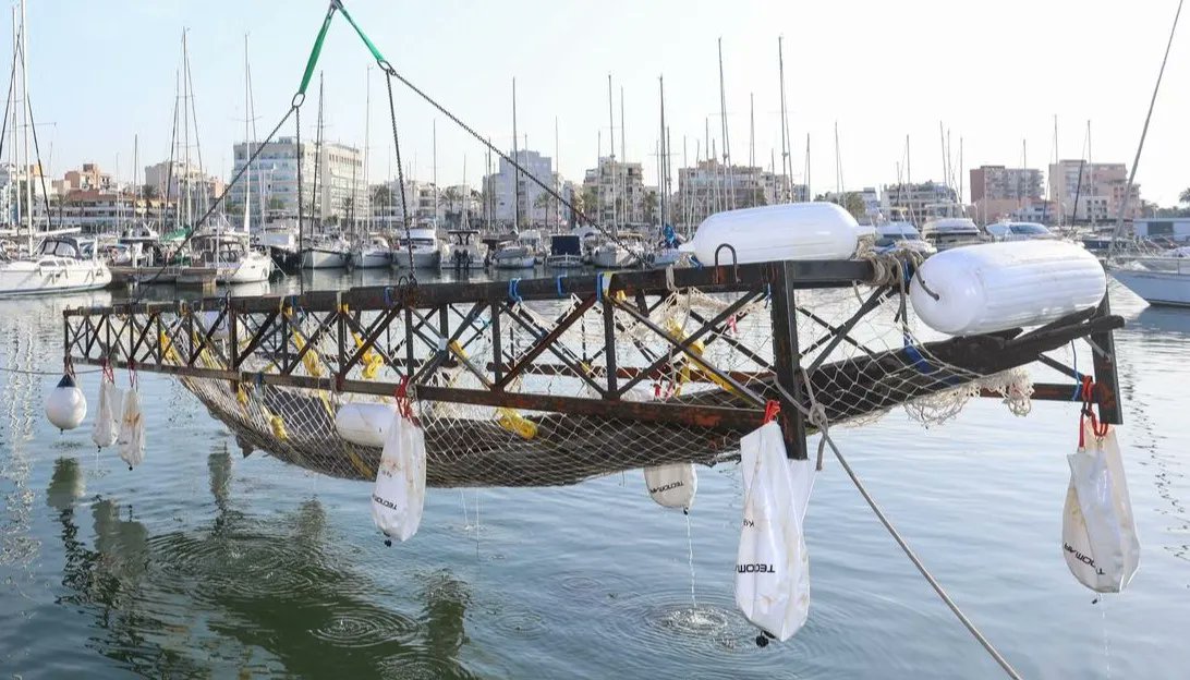 CDorado75's tweet photo. 📢💣 ¡Finaliza la extracción del pecio romano de Ses Fontanelles!
Tras 4 meses de trabajo, el equipo arqueológico del proyecto Arqueomallornauta ha completado la extracción del extraordinario barco tardorromano hundido en el s. IV d.C. en lo que hoy es la costa de Palma 🧵👇 https://t.co/aKTYe4Yy6q