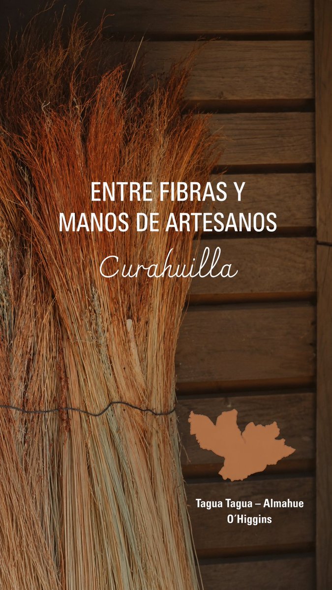 Geo_maryjo's tweet photo. El arte de la escoba de curahuilla
https://t.co/mlMQnfpo7v
#curahuilla #escobas #patrimoniocultural https://t.co/Q37AsmeZAs