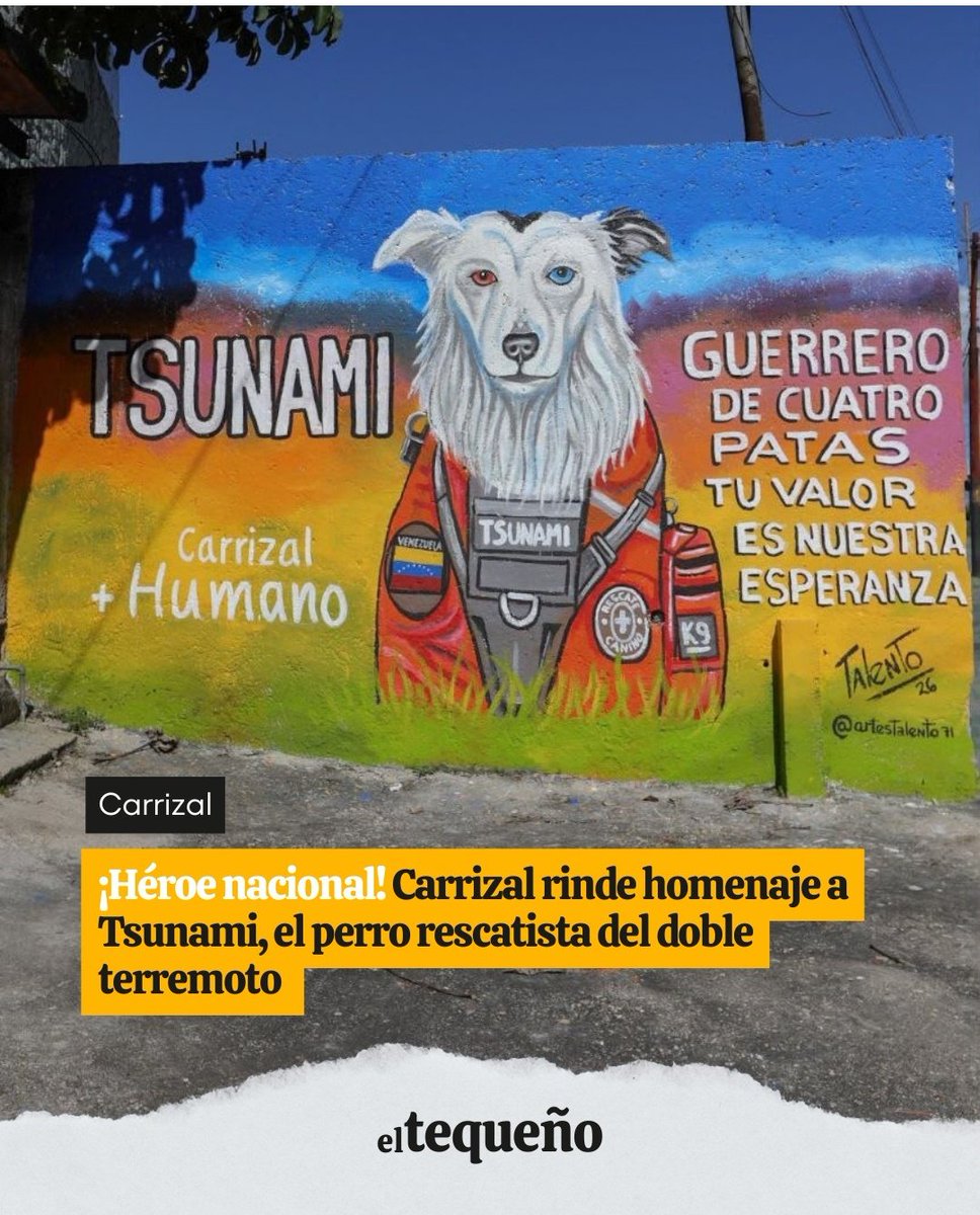 BettCovenant's tweet photo. Dentro de la tragedia toca reírse. Les presento a Ñunami, el perro rescatista. 🤪 https://t.co/UQ1SYTPkoA