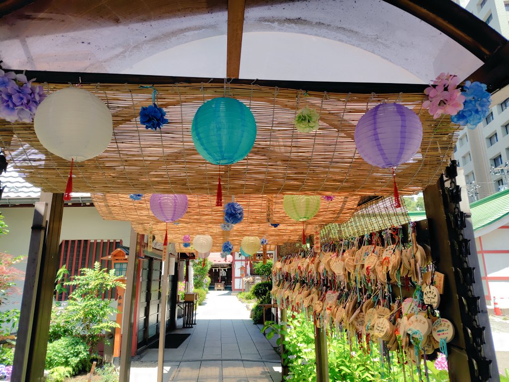 koemugi1's tweet photo. 宮城県　仙臺大神宮⛩️

境内の紫陽花が綺麗に咲いていました✨
手水舎や境内の飾り付けが季節ごとに彩られる神社です。
御朱印も期間限定や種類が多く楽しめます😄 https://t.co/e5N5UpqP3t