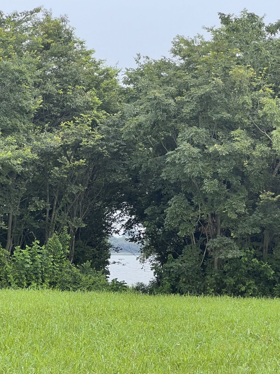 iqyo's tweet photo. 福島の浜通りを思う。復興というカーペットをむりやり敷き詰め、人々の暮らしも生業も文化も何もかもを、覆い隠してしまっていることを。 https://t.co/1xPZsqsKww