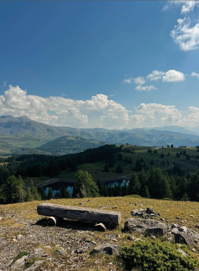 departement06's tweet photo. Partagez vos plus beaux clichés du Département avec #AlpesMaritimes

L’équipe du Département vous souhaite une belle journée 📷

📷 @eliafch_ / Valberg

@VisitCotedazur https://t.co/T2qCo4qNkM