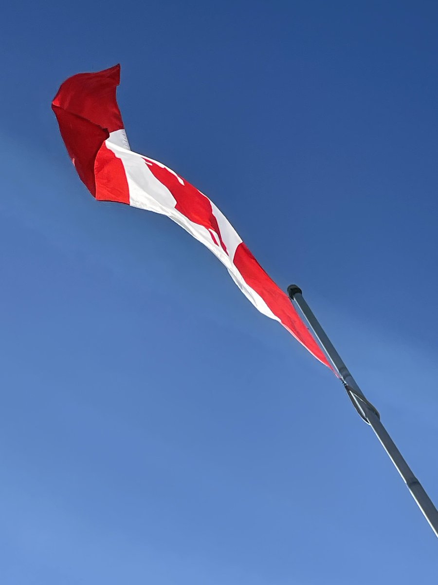 csecordevans's tweet photo. Happy Canada Day! 🇨🇦 I am so thankful to call Canada home. Wishing everyone a beautiful day! 🌲🌲🌲🌲🌲 https://t.co/mIiHJAsi2E