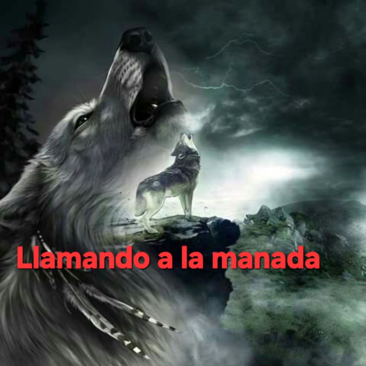 antonela21_kim's tweet photo. Bueno amigos, guerreros, luchadores acabo de despertar y veo que todavía hay por quien luchar, ASI QUE MIREN SUS DISPOSITIVOS, VEAN LA SONRISA DE AQUEL QUE NOS QUIEREN QUITAR Y SIGAN HACIENDO RUIDO PORQUE LOBO ES LOBO AUNQUE LE QUITEN LA LUNA.

#BRINGBACKVALKO
#BRINGBACKVALKO
#BRINGBACKVALKO
#BRINGBACKVALKO
#BRINGBACKVALKO
#BRINGBACKVALKO
#BRINGBACKVALKO
#BRINGBACKVALKO
#BRINGBACKVALKO
#BRINGBACKVALKO
#BRINGBACKVALKO
#BRINGBACKVALKO
#BRINGBACKVALKO
#BRINGBACKVALKO
#BRINGBACKVALKO
#BRINGBACKVALKO
#BRINGBACKVALKO