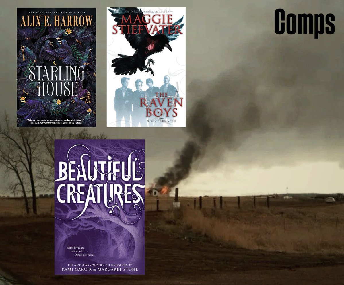 maddywritesish's tweet photo. If you like stories about…
🏔️morally gray FMCs
🏔️enemies-to-lovers
🏔️strained/healing families
🏔️Appalachian small town vibes
🏔️lesbian rep
You might like BLUE MOUNTAIN WITCHES, my YA novel complete at 100k words.
#queerpit #YA #litagent https://t.co/MA8KPVOfe2
