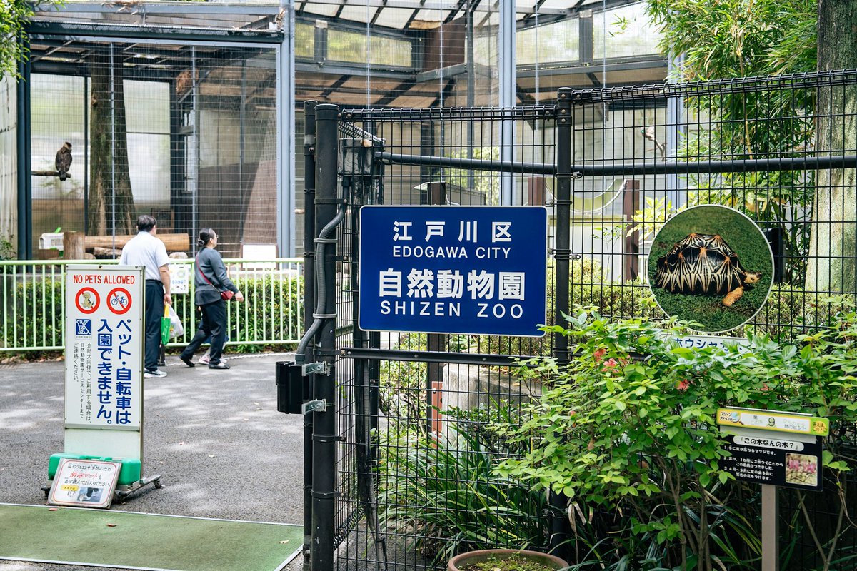 esignnnnfi's tweet photo. イケメンな背中の鷲。 https://t.co/eIBPjNSARs