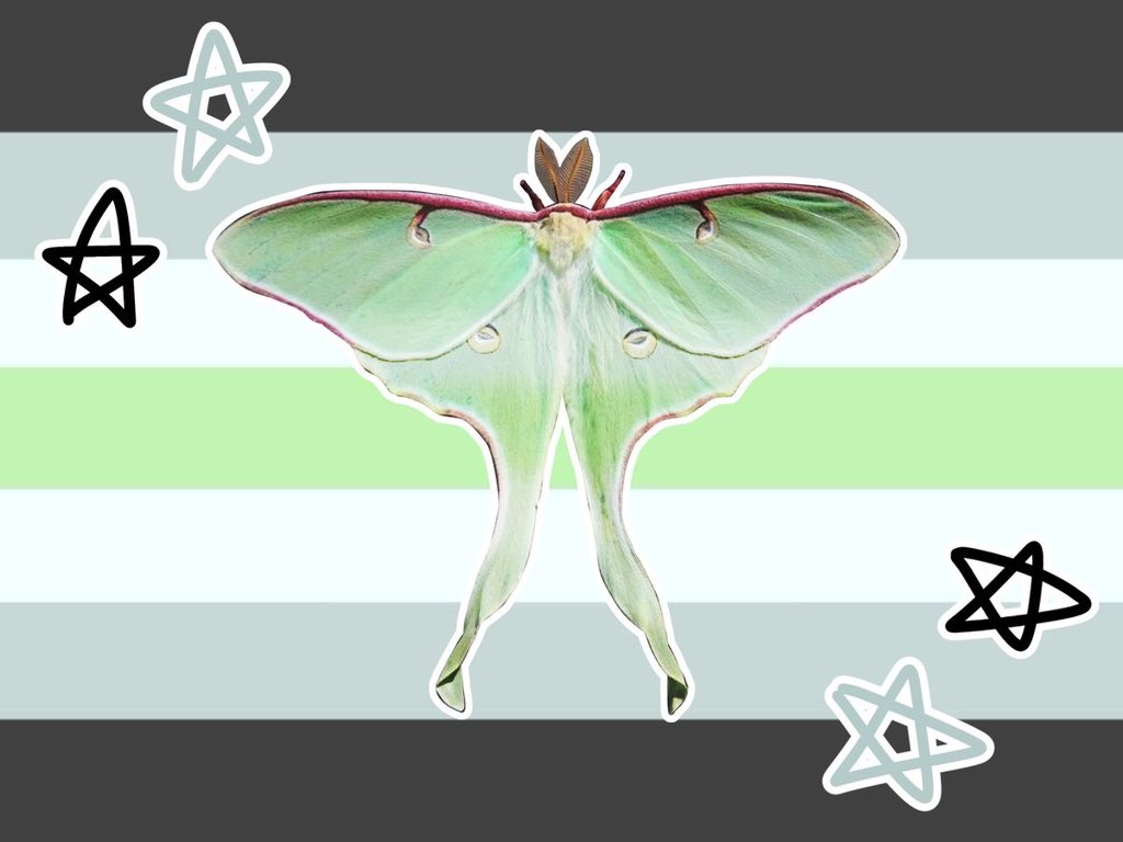 motheinsect's tweet photo. goodbye pride moth.. here are my flags https://t.co/i52jUofKgn