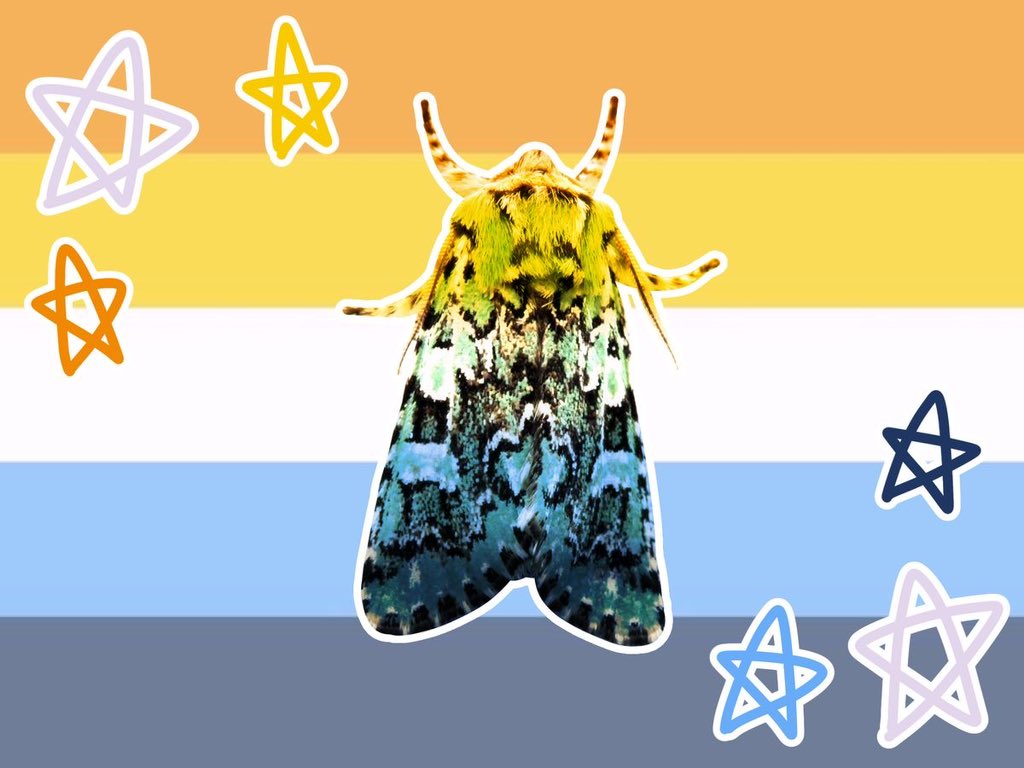 motheinsect's tweet photo. goodbye pride moth.. here are my flags https://t.co/i52jUofKgn