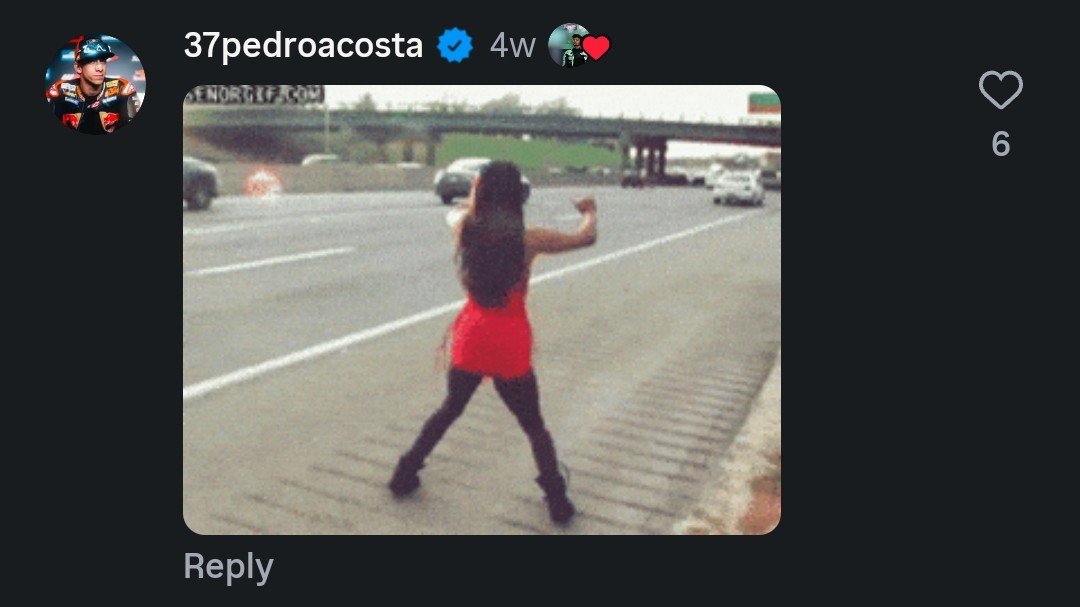 inniebeams_'s tweet photo. was going through alex's insta profile and pedro has commented on almost EVERY SINGLE post and genuinely what are these gifs man 😭😭😭 https://t.co/41CeJgUIfX