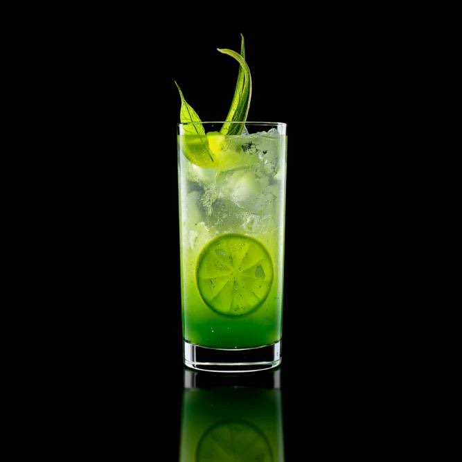 HrnBrk's tweet photo. 🍹 Kuzu Kulaklı Gin Smash

Yaptığım tarifi mutlaka denemelisiniz.

📱 Brew &amp; Shake: https://t.co/nUs3KJ2oZZ

#kuzukulağı #kokteyl #tarif #içecek https://t.co/t1Rz0hPDzc