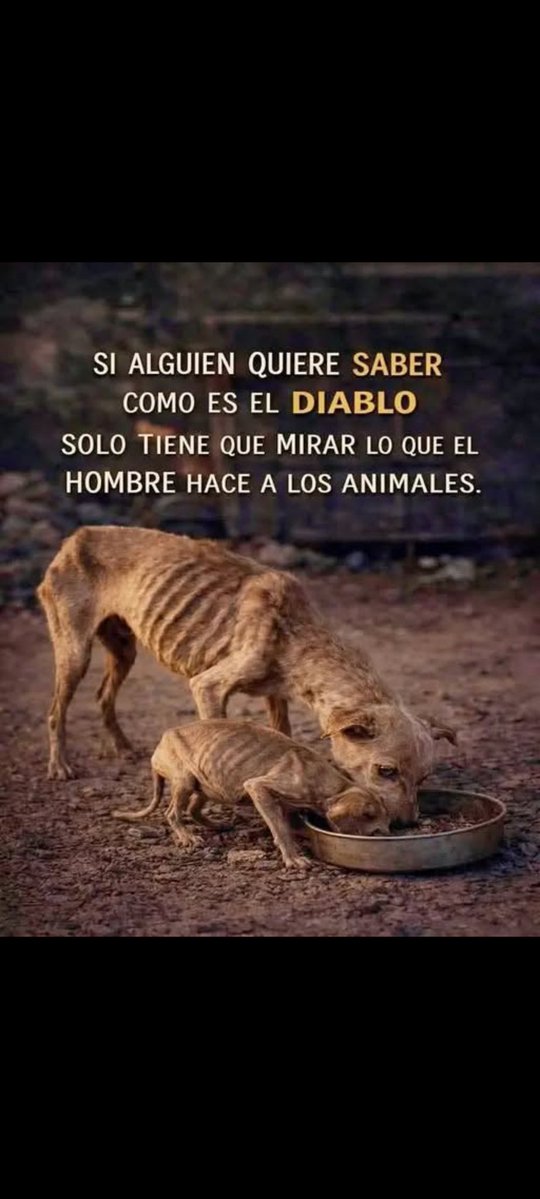 Luisgranate3's tweet photo. Lamentablemente esto pasa y no tendría que ser así, si tienes mascotas cuídalas ellas solo tienen amor para dar! ❤️😔😔 https://t.co/YVzvExySHL