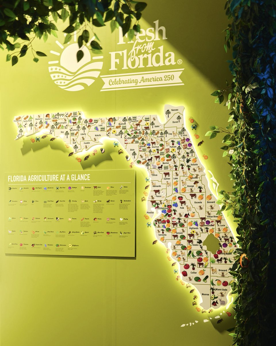 VISITFLORIDA's tweet photo. In celebration of America 250, Florida has gone all out!

Florida is proud to have one of the most popular state pavilions at the Great American State Fair.

Visit the Florida Pavilion on the National Mall to explore the history, people, and stories that have shaped the Sunshine State and, in turn, the nation. 

Stop by, now through through July 10! @America250FL