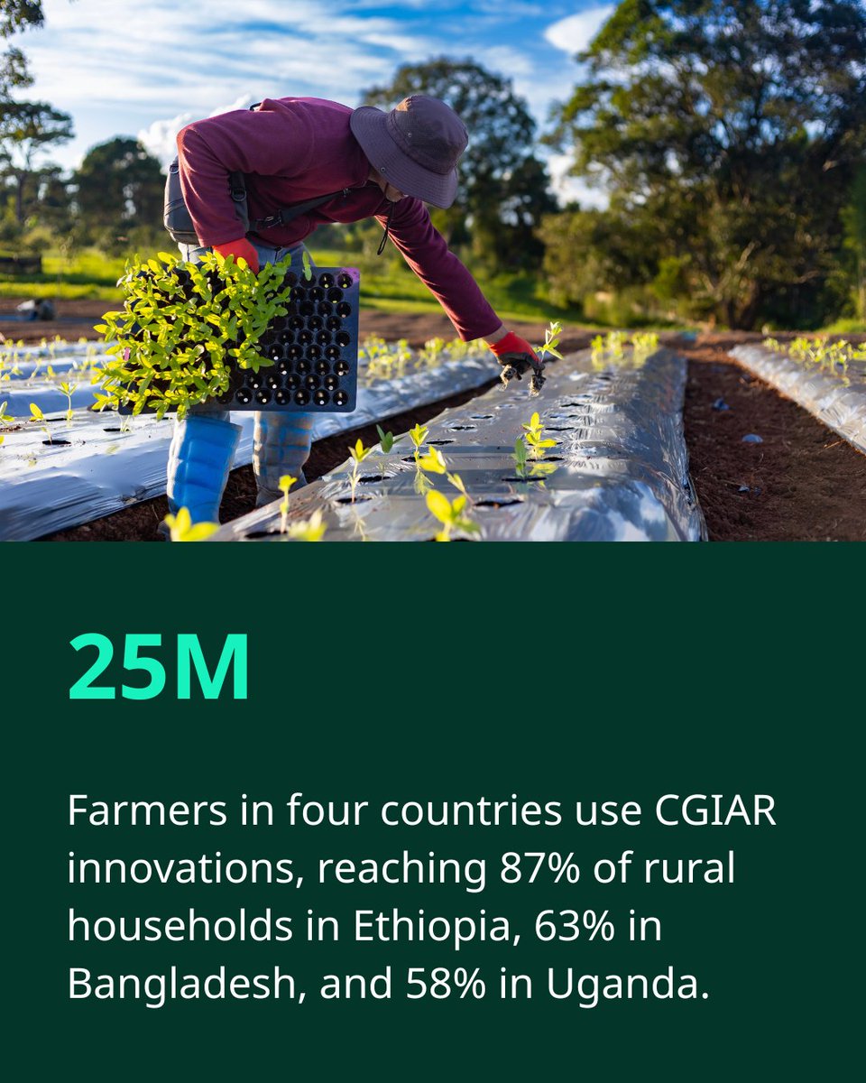 CGIAR's tweet photo. 🌾 🔬$1.3 trillion in value. 25 million farmers. 300 million+ people eating biofortified foods. 🌍🌾
CGIAR's Global View brief tells the story of what six decades of agricultural research have produced.
Full brief: https://t.co/frxnNHipsc
#OneCGIAR #FoodSecurity https://t.co/An3NrqZBa4