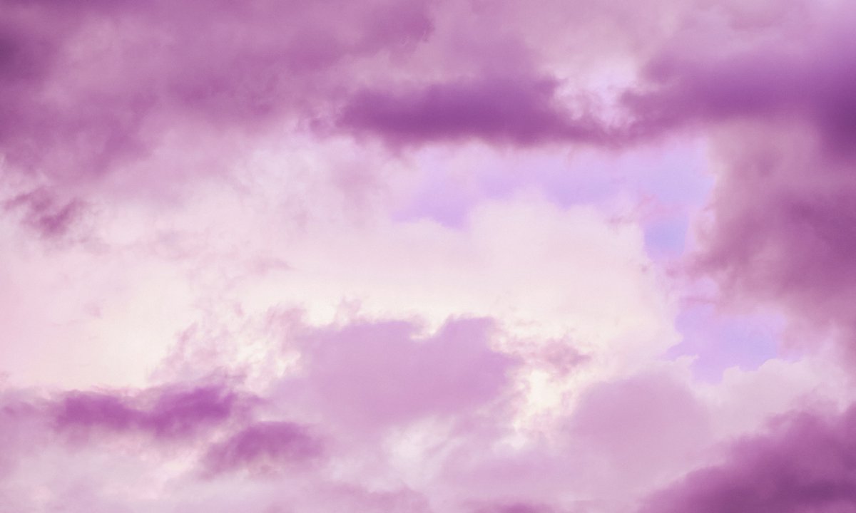 gardenofcolours's tweet photo. pink skies https://t.co/DzaiJ42fGc