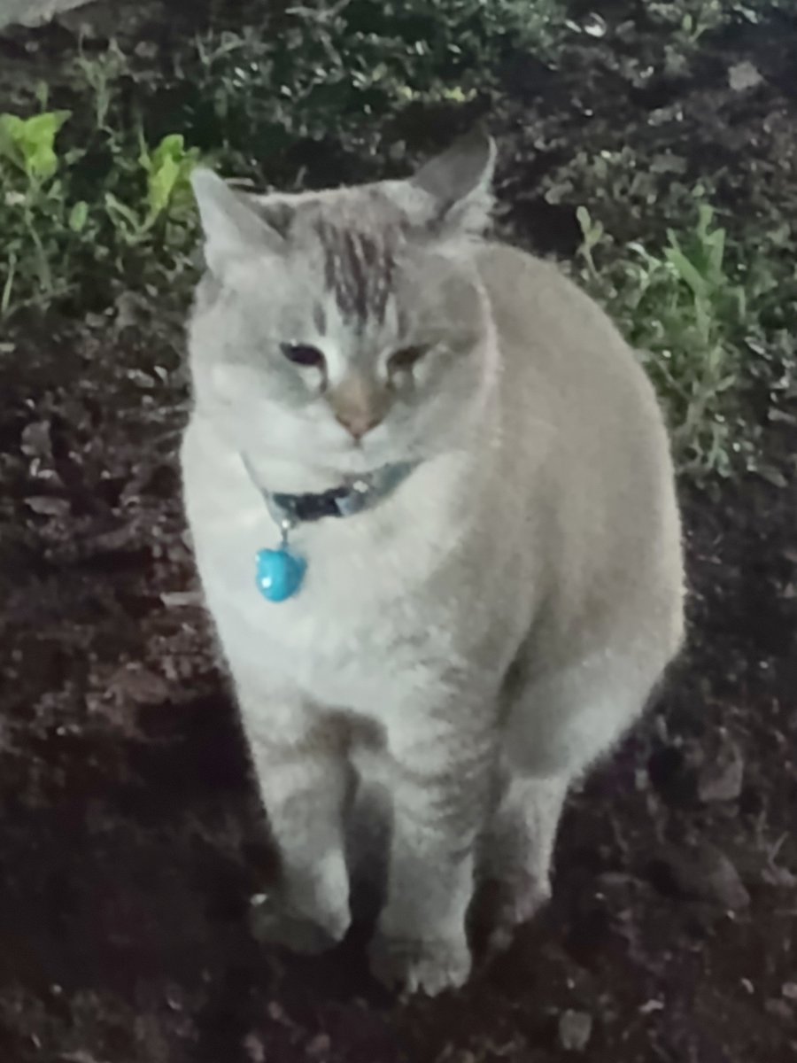 rince_life's tweet photo. Sebelum tidur nemenin anak lanang rutinitas ngeseng 😭🙏 ini mukanya lucu bangett ya Allah😭😭😭 ini gw fotoin sambil ngakak😭😭😭😭😭😭 https://t.co/HzmNzaRCNT