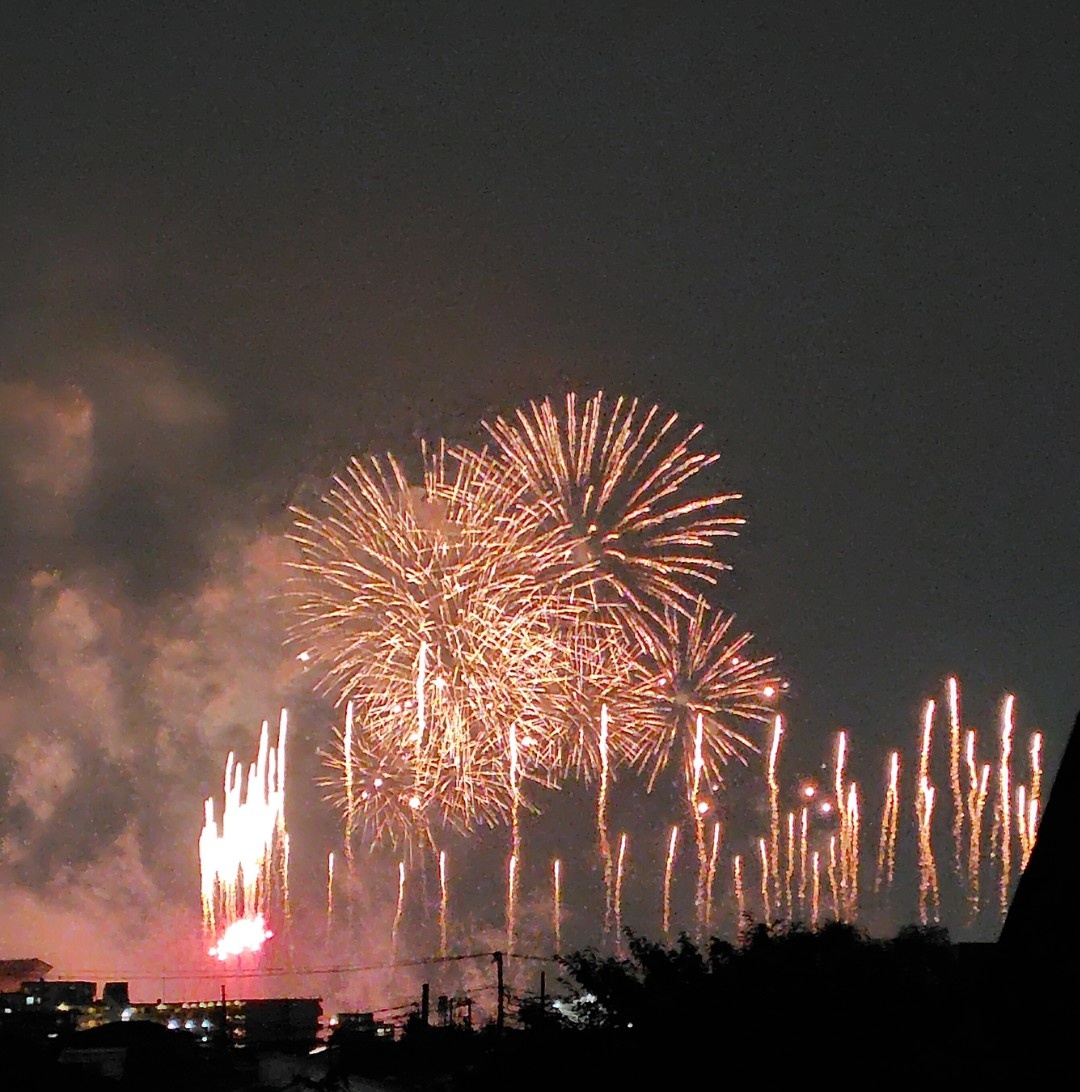 violence_m's tweet photo. 今年も綺麗な花火を
ありがとうございました！
#東京競����花火 https://t.co/EXBAkf0gAz