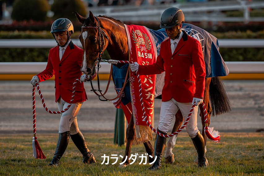 keiba_info_club's tweet photo. 2024年クラシック世代

・フォーエバーヤング
　→BCクラシック制覇、獲得賞金日本一

・メイショウタバル
　→宝塚記念連覇(親子で)

・🇫🇷カランダガン
　→ジャパンCなどGI5勝

・ジャンタルマンタル
　→史上初の芝牡馬マイルGI完全制覇

・レガレイラ
　→GI3勝

・ミッキーファイト
　→史上2頭目の帝王賞連覇←NEW!!

・シックスペンス
　→安田記念V

・ダブルハートボンド
　→チャンピオンズC優勝

・アンモシエラ
　→JBCレディスクラシック連覇

・チェルヴィニア
　→二冠牝馬

・カゼノランナー
　→川崎記念V

・ダノンデサイル
　→GI2勝

・ビザンチンドリーム
　→凱旋門賞5着

・アドマイヤテラ
　→カラ馬の状態でJC先頭入線の重賞2勝馬

・ボンドガール
　→重賞2着7回の新「最強の1勝牝馬」

・プリフロオールイン(高知)
　→1年ぶりの出走で二十四万石賞連覇

・サントノーレ(大井)
　→南関東重賞5勝

GI級35勝の新黄金世代です