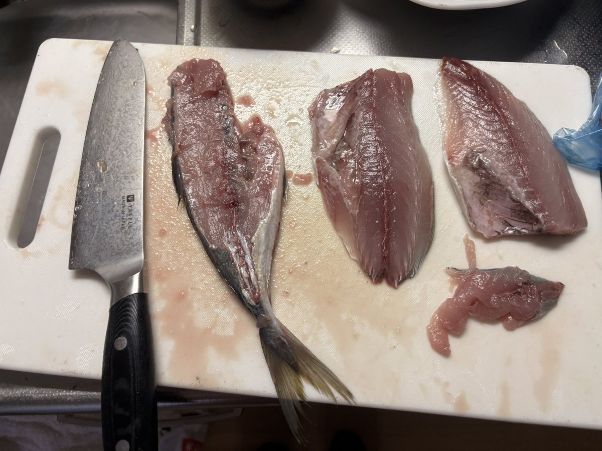 C4nF's tweet photo. 数万年ぶりにアジ捌いたけど、まあまあ悪くないね🐟 https://t.co/fGsxELpNSH