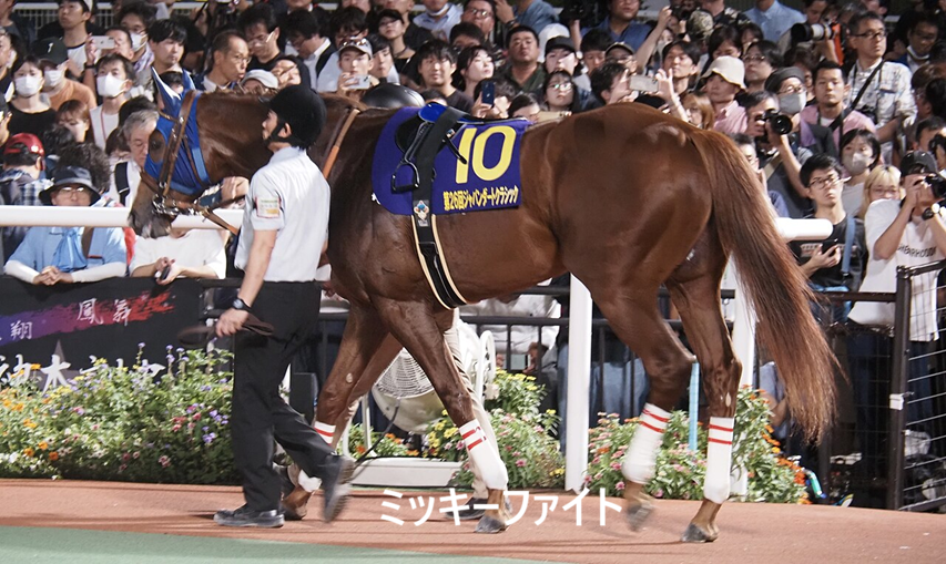 keiba_info_club's tweet photo. 2024年クラシック世代

・フォーエバーヤング
　→BCクラシック制覇、獲得賞金日本一

・メイショウタバル
　→宝塚記念連覇(親子で)

・🇫🇷カランダガン
　→ジャパンCなどGI5勝

・ジャンタルマンタル
　→史上初の芝牡馬マイルGI完全制覇

・レガレイラ
　→GI3勝

・ミッキーファイト
　→史上2頭目の帝王賞連覇←NEW!!

・シックスペンス
　→安田記念V

・ダブルハートボンド
　→チャンピオンズC優勝

・アンモシエラ
　→JBCレディスクラシック連覇

・チェルヴィニア
　→二冠牝馬

・カゼノランナー
　→川崎記念V

・ダノンデサイル
　→GI2勝

・ビザンチンドリーム
　→凱旋門賞5着

・アドマイヤテラ
　→カラ馬の状態でJC先頭入線の重賞2勝馬

・ボンドガール
　→重賞2着7回の新「最強の1勝牝馬」

・プリフロオールイン(高知)
　→1年ぶりの出走で二十四万石賞連覇

・サントノーレ(大井)
　→南関東重賞5勝

GI級35勝の新黄金世代です