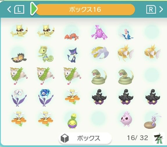 karokaro164's tweet photo. ZA産の色違いの被りの子達なんですがどなたか交換しませんか？
チャンピオンズで活躍させてもらえたりすると嬉しいです。
欲しい個体はリプに書いてきます！
 #ポケモン交換 
 #ポケモンチャンピオンズ 
#ポケモンHOME https://t.co/T01S9BJQfo