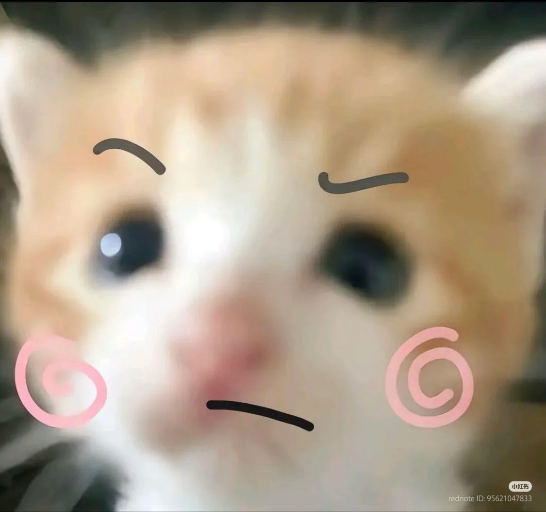 nocontextscats's tweet photo. https://t.co/zYRFiprnRp