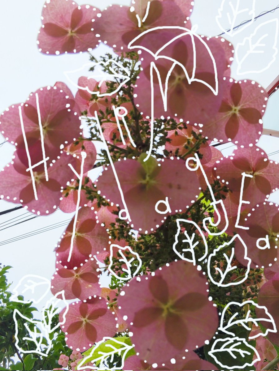 ru8ch1vst's tweet photo. 府中競馬場の花火が
雨とともに轟いた夜。
3枚目は母に『この写真にスヌーピー書いて〜』
と頼まれたけど、
正解はなんだったんだろ。

#イラスト
#紫陽花
#とうもろこし
#ラムネ https://t.co/OZXBury0g3