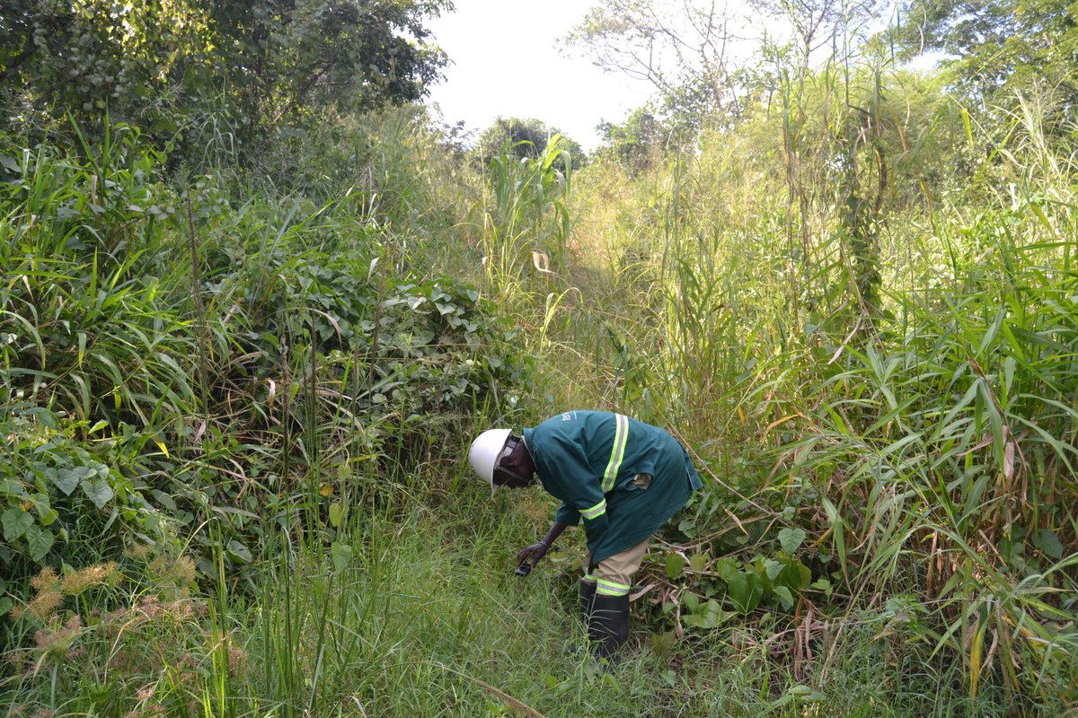 tenvicon's tweet photo. Every field detail matters.

Through Orom-Cross ESHS Monitoring, Tenvicon is assessing biodiversity and environmental sensitivities to support responsible development.

#Tenvicon #ESHSMonitoring #Biodiversity #UgandaCulture https://t.co/ag5dVtsnv4
