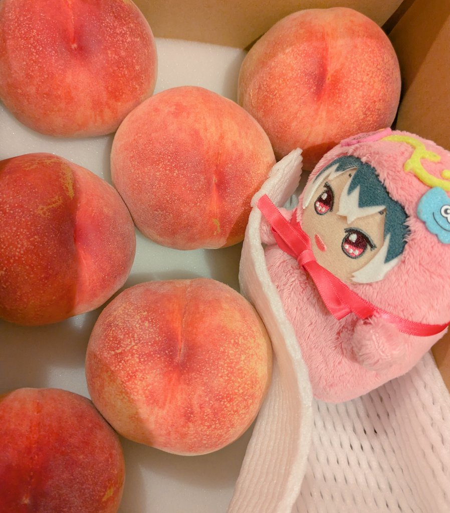69723is's tweet photo. ももももんももももものうち https://t.co/U70RPIBKKU
