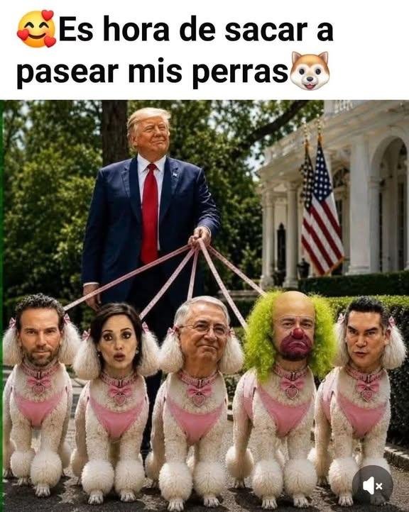 RobertoFB8's tweet photo. @AmoPaisXal71 @AleEsat @Claudiashein No somos perras 😭😭😭 no somos perras 😭😭😭😭 https://t.co/OtE3P3XZt0